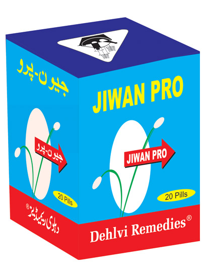 Dehlvi Jiwan Pro